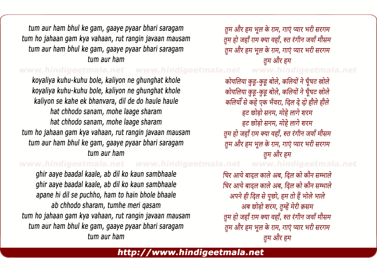 lyrics of song Tum Aur Ham Bhul Ke Gam