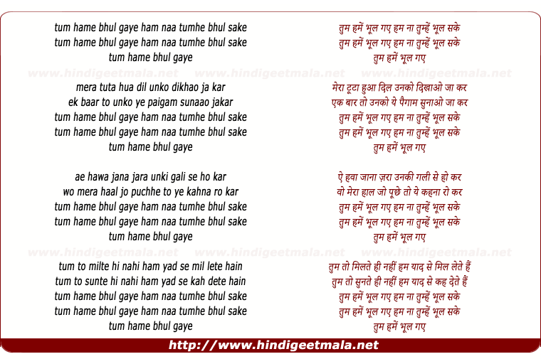 lyrics of song Tum Hame Bhul Gaye