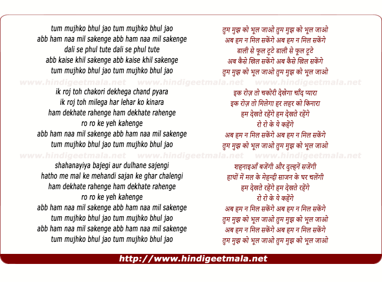 lyrics of song Tum Mujhko Bhul Jao