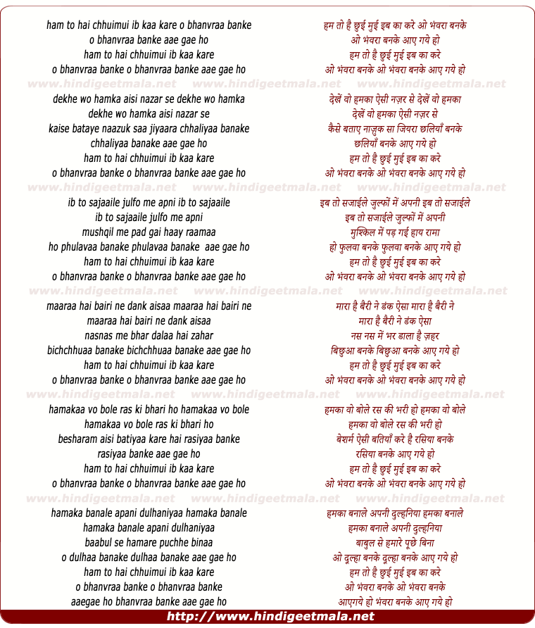 lyrics of song Ham To Hai Chhui Mui Ib Kya Kare