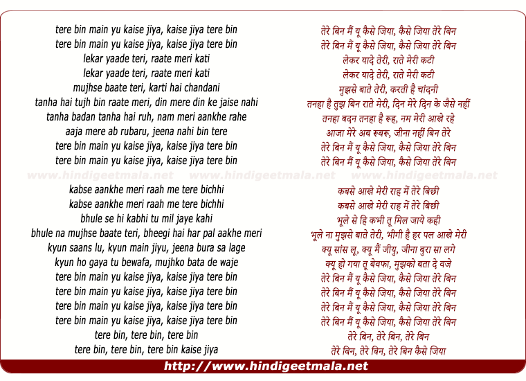 lyrics of song Tere Bin Main Yu