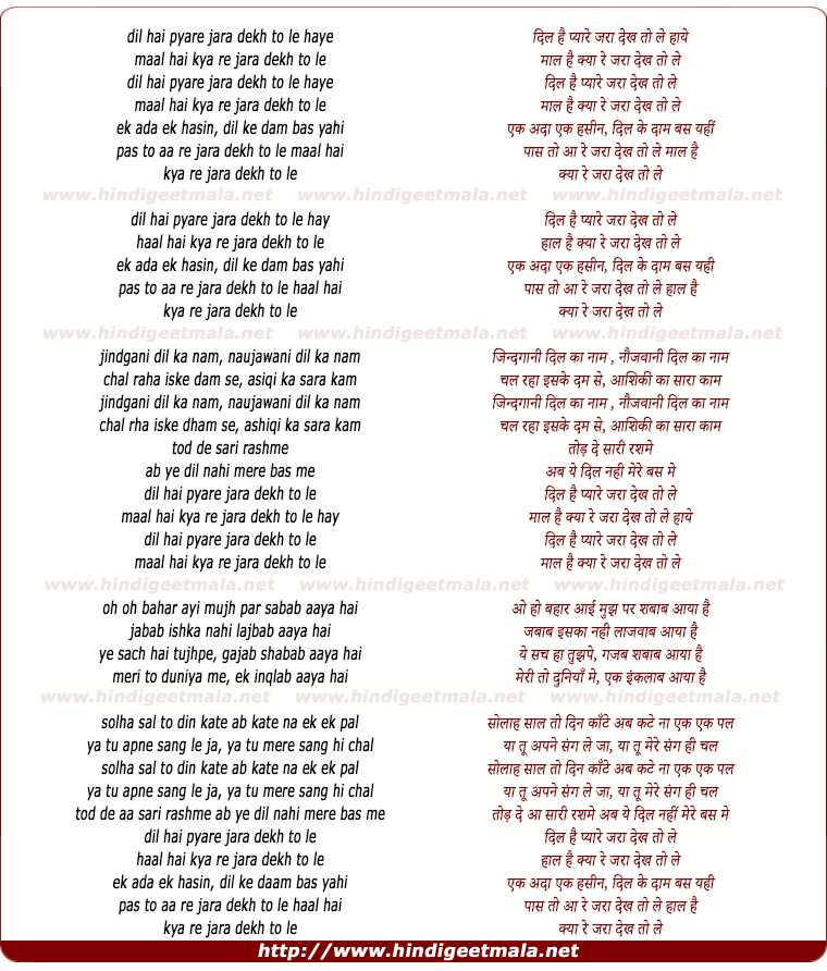 lyrics of song Dil Hai Pyare Zara Dekh To Le