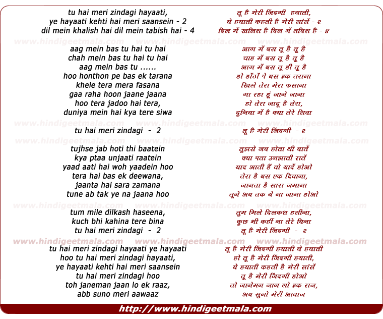 lyrics of song Tu Hai Meri Zindagi, Hayaati Ye Hayaati