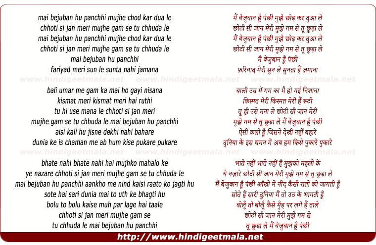 lyrics of song Mai Bezuban Hu Panchhi