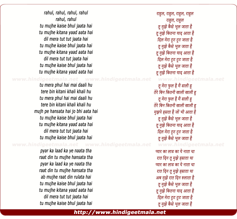 lyrics of song Tu Mujhe Kaise Bhul Jata Hai