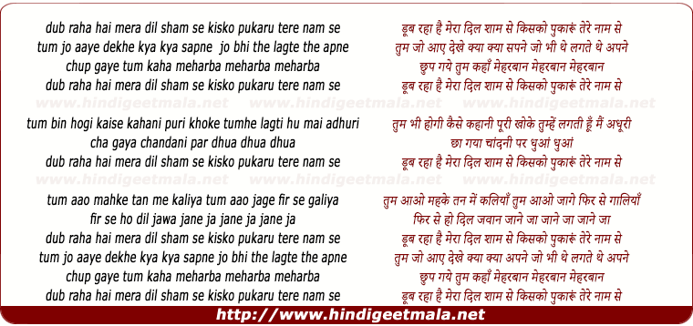 lyrics of song Doob Raha Hai Mera Dil Shaam Se