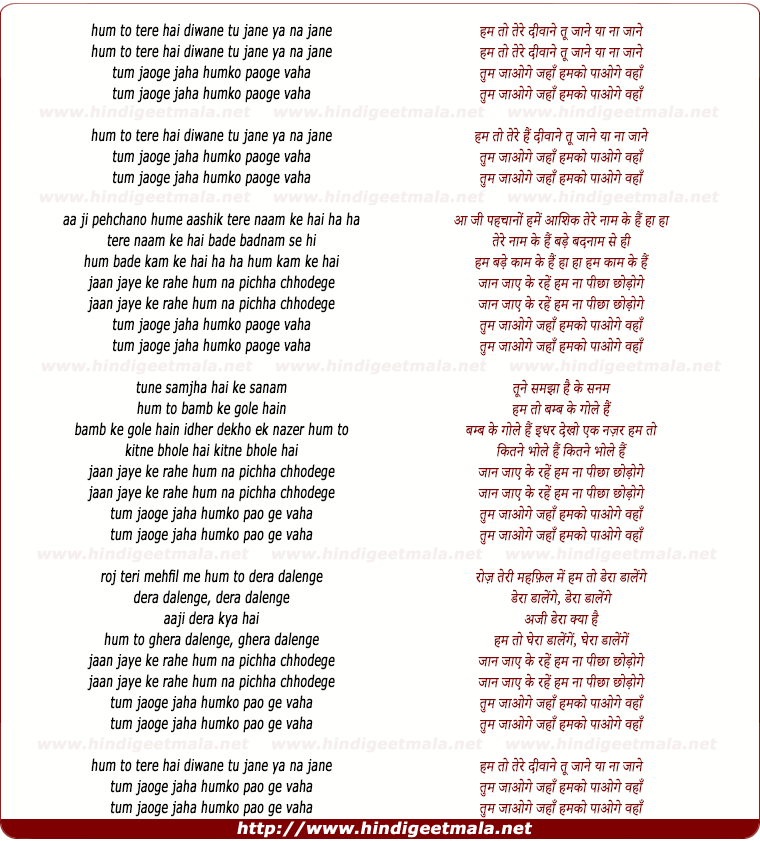 lyrics of song Tu Jane Yaa Na Jane Tum Jaoge Jahan