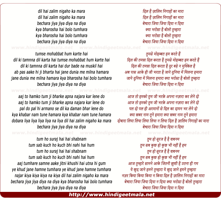 lyrics of song Dil Hai Zaalim Nigaho Ka Mara