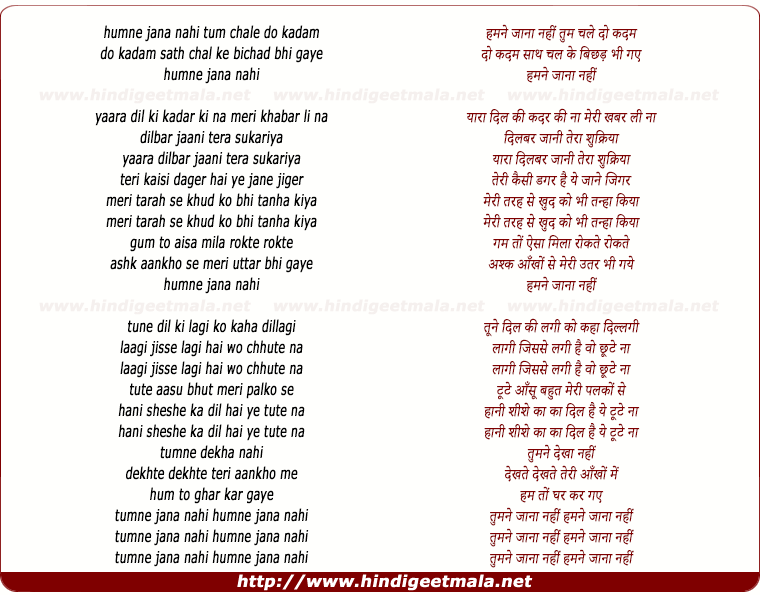 lyrics of song Humne Jaana Nahi Tum Chale Do Kadam