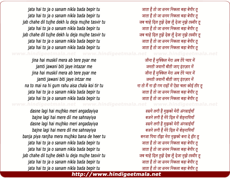 lyrics of song Jata Hai To Ja O Sanam, Nikla Bada Bepeer Tu