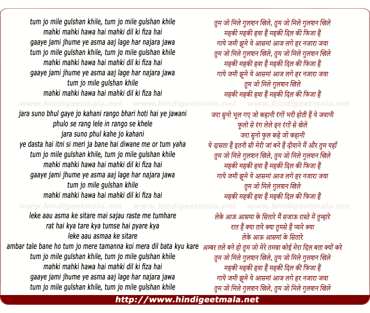 lyrics of song Tum Jo Mile Gulshan Khile, Mehki Mehki Hawa Hai
