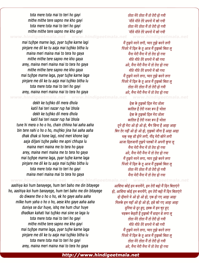 lyrics of song Tota Mere Tota Mai To Teri Ho Gayi