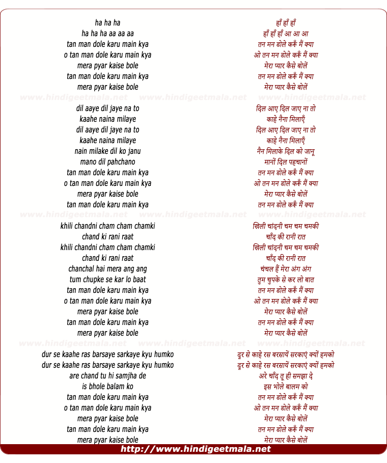 lyrics of song Tan Man Dole Karu Mai Kya