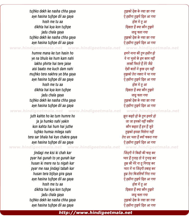 lyrics of song Tujhko Dekh Ke Nasha Chha Gaya
