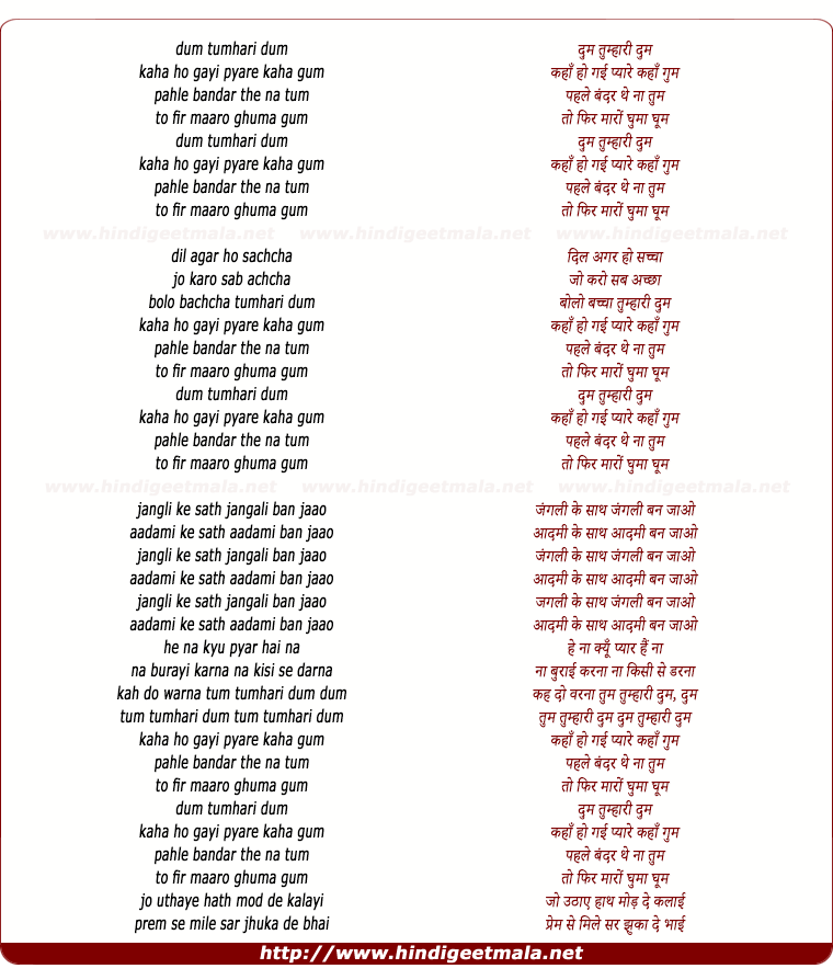 lyrics of song Dum Tumhari Dum