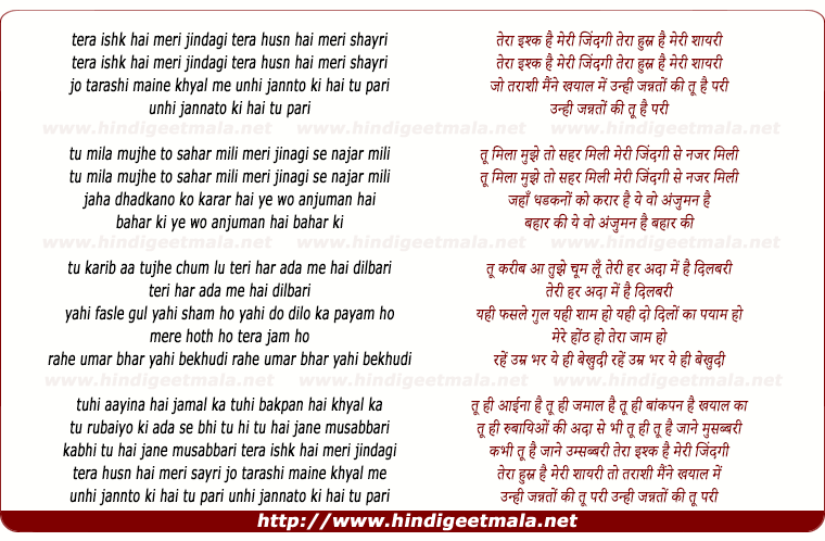 lyrics of song Tera Ishq Hai Meri Zindagi