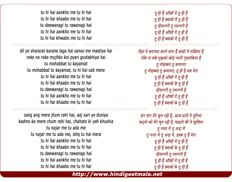 lyrics of song Tu Hi Hai (Remix)