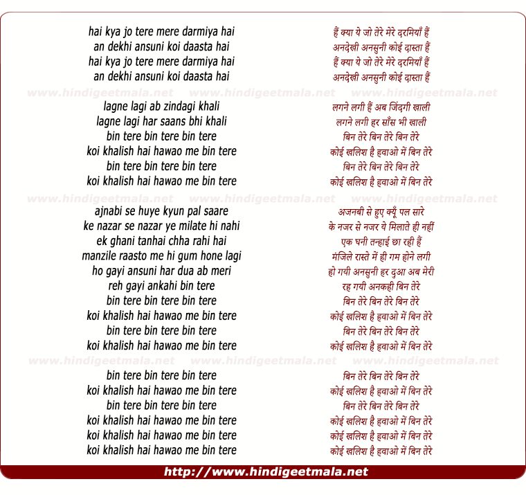 lyrics of song Bin Tere (Remix)