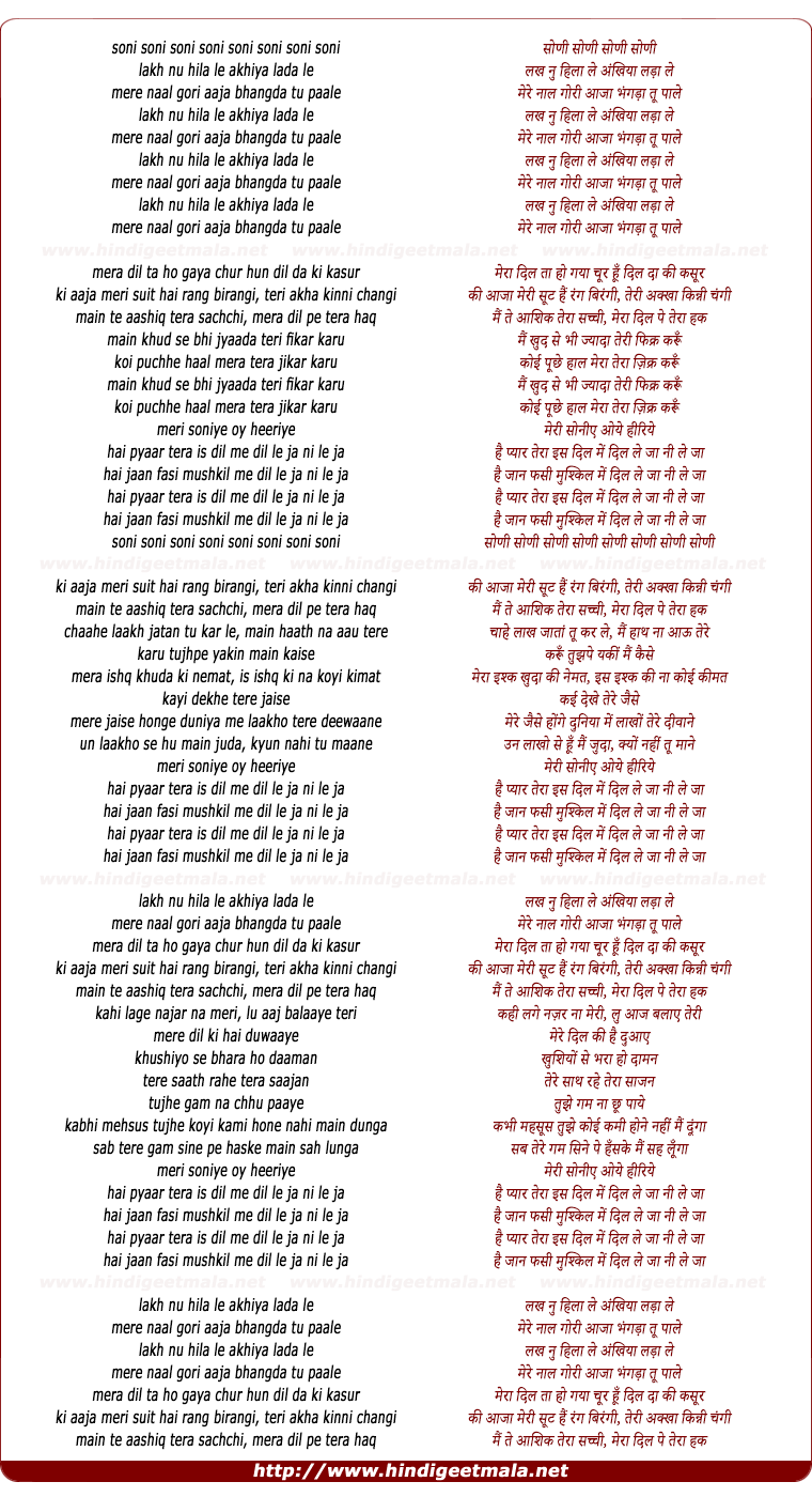 lyrics of song Dil Le Jaa (Remix)