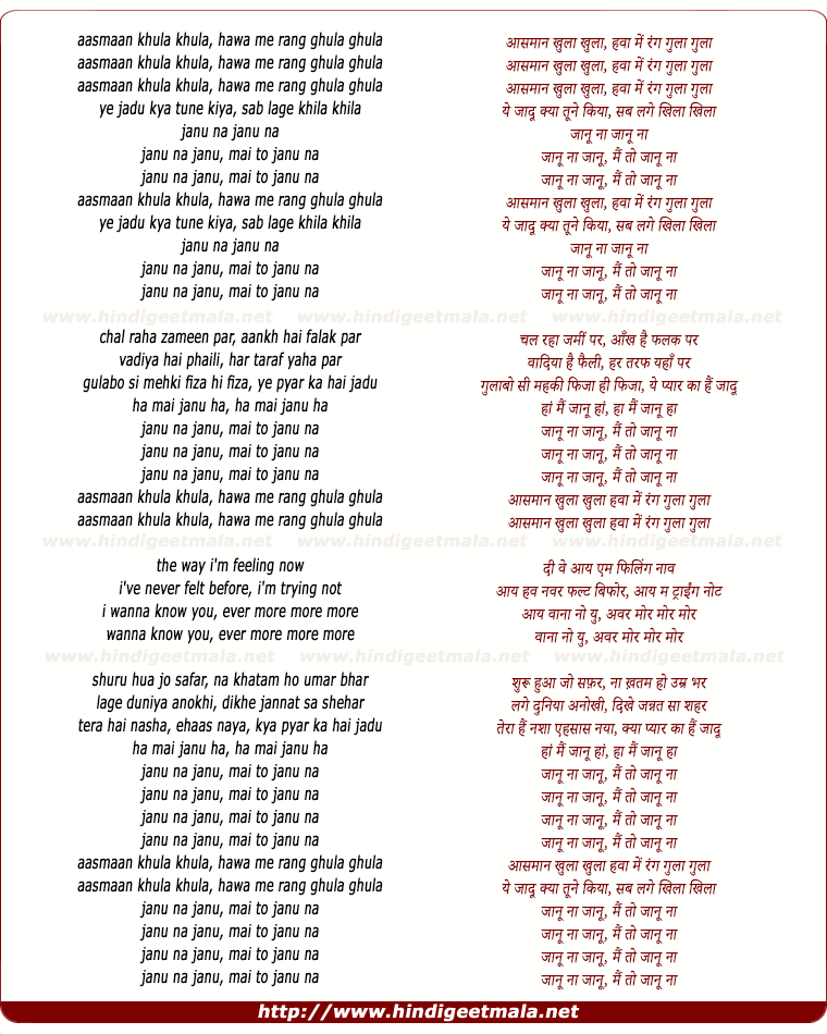 lyrics of song Janu Na Janu Na (Remix)
