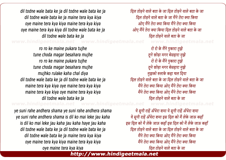 lyrics of song Dil Todne Wale Bata Ke Ja