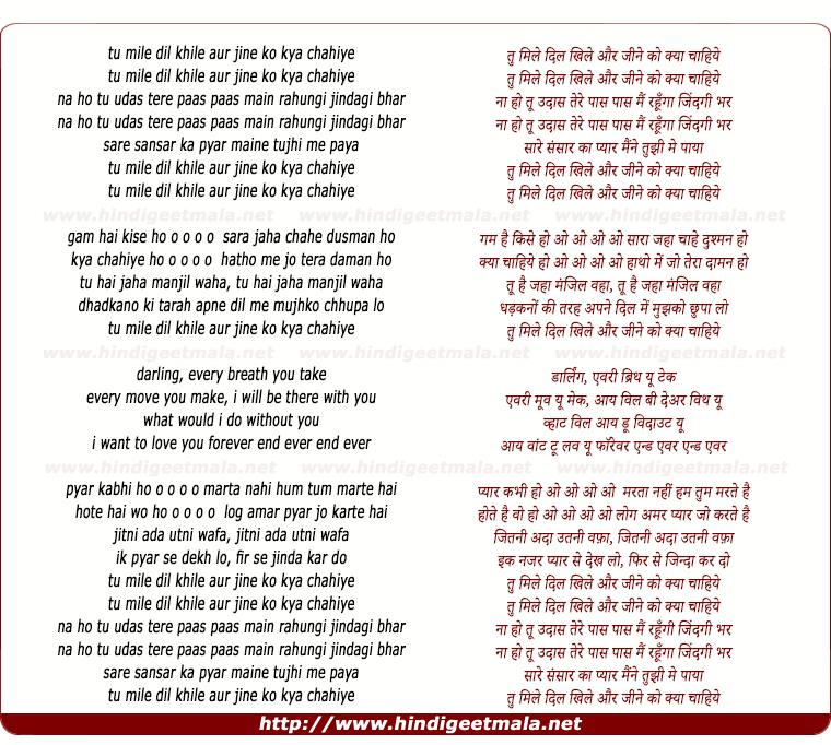lyrics of song Tum Mile Dil Khile Aur Zine Ko Kya (Female)