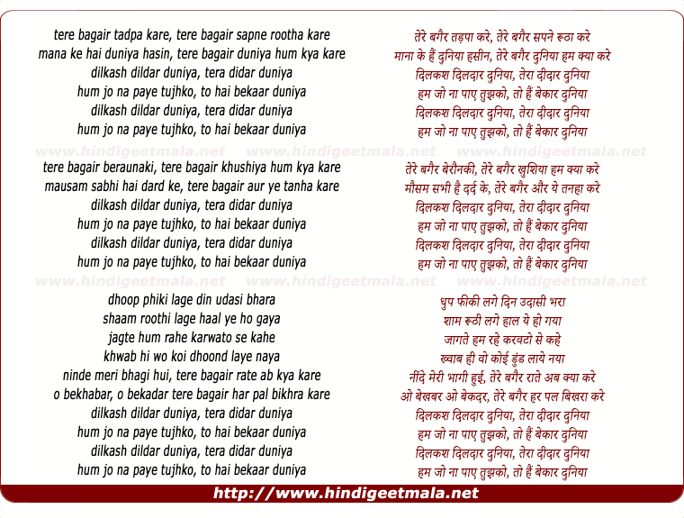lyrics of song Dilkash Dildaar Duniya (Remix)
