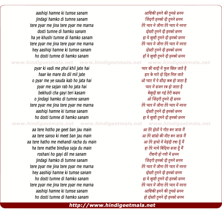 lyrics of song Aashiqui Humne Ki Tumse Sanam