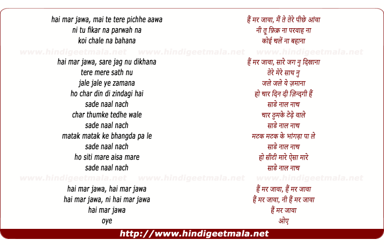 lyrics of song Hai Marjawaa Mai Te Tere Piche Aawa
