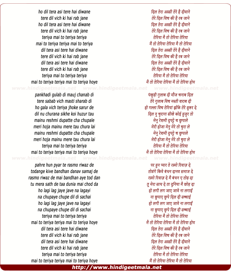 lyrics of song Dil Tera Assi Tere Hai Diwane