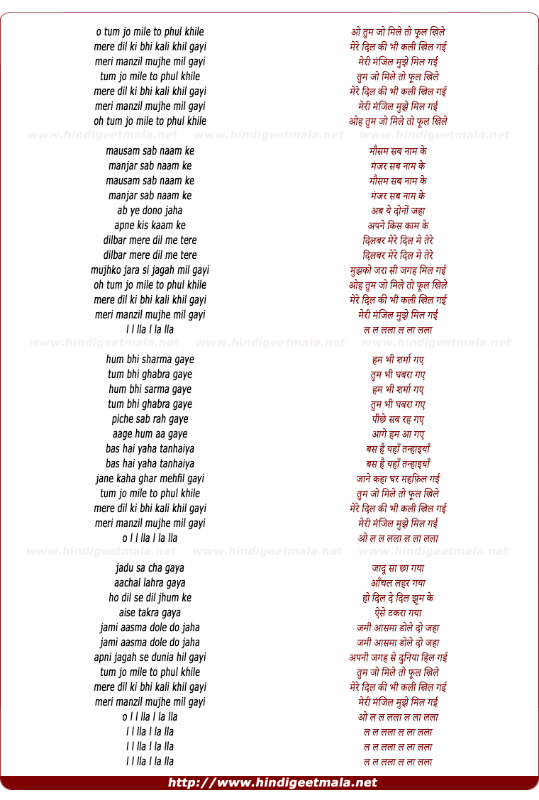 lyrics of song O Tum Jo Mile To Phul Khile