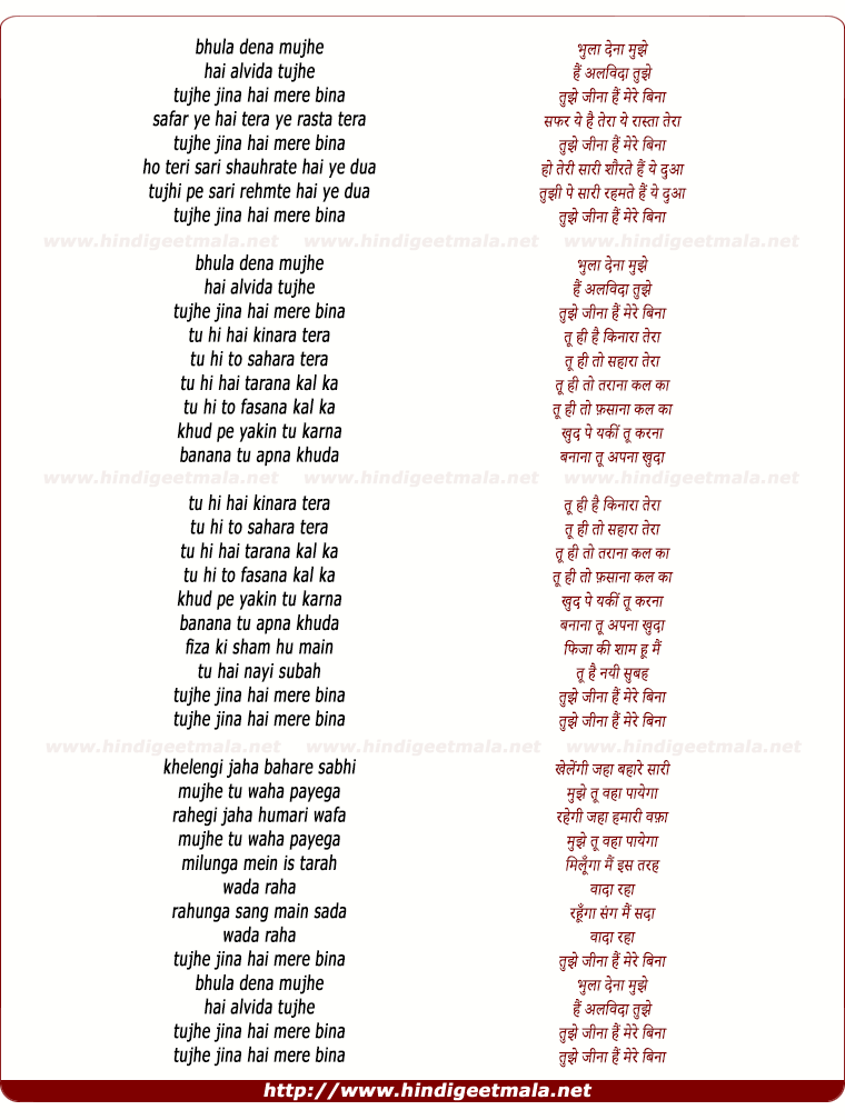 lyrics of song Bhula Dena Mujhe Hai Alvida Tujhe