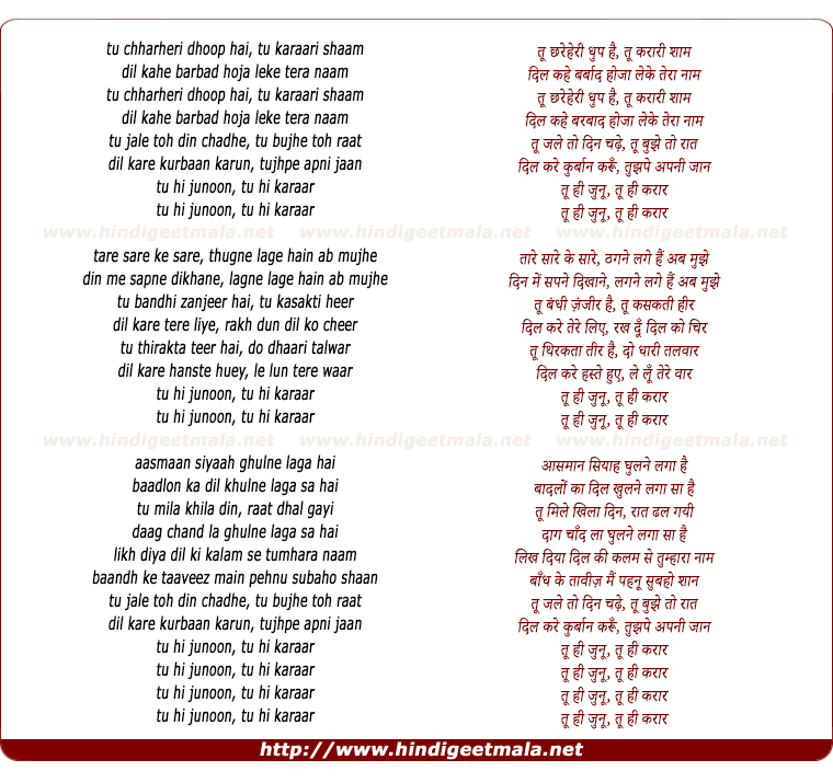 lyrics of song Tu Hi Junoon, Tu Hi Karaar