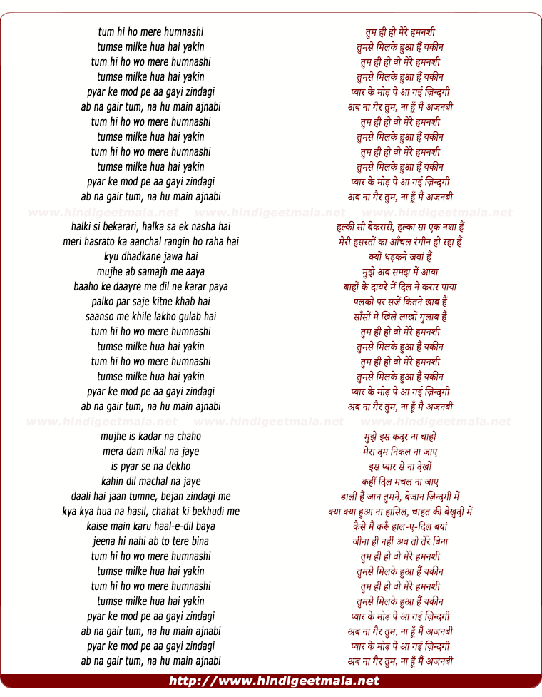 lyrics of song Tum Hi Ho Mere Hamnashee