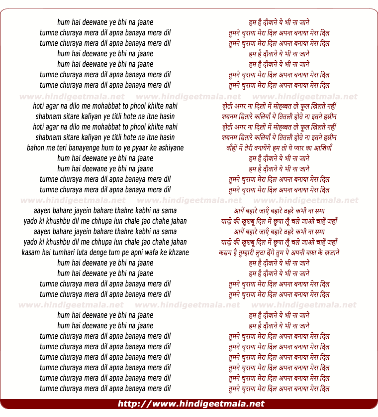 lyrics of song Hum Hai Deewane