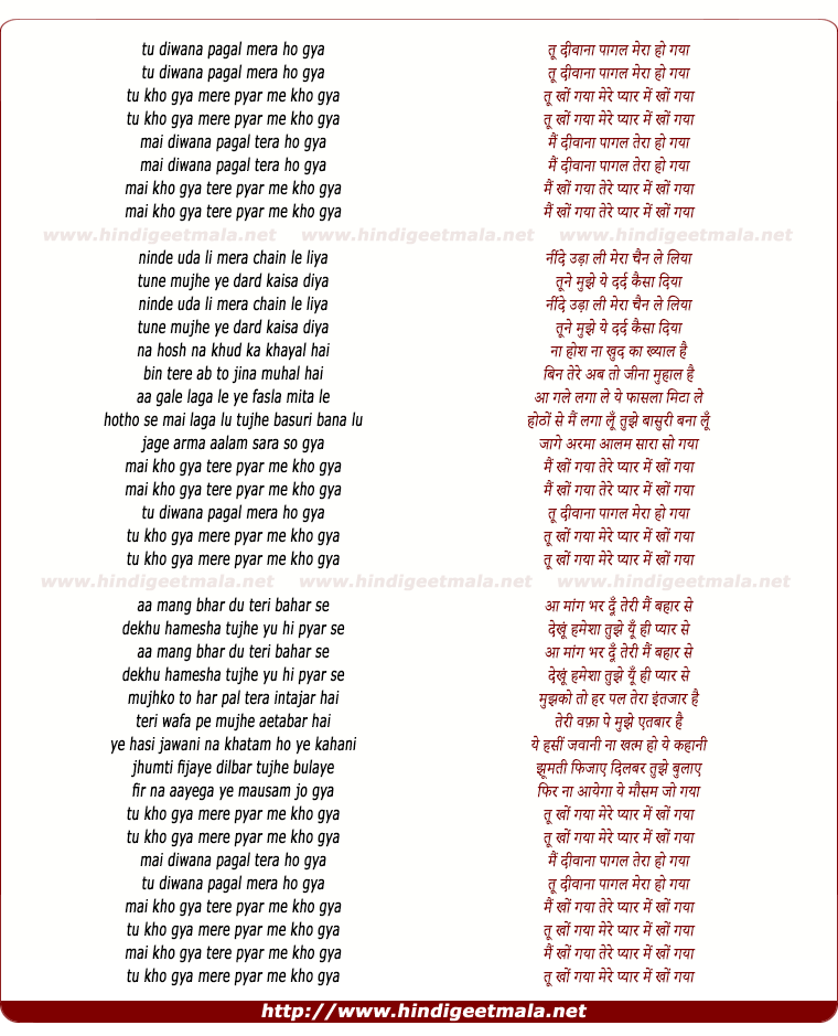 lyrics of song Tu Deewana Paagal Mera Ho Gaya