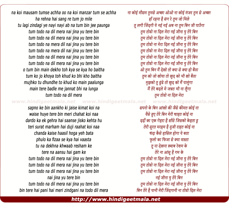 lyrics of song Tum Todo Na