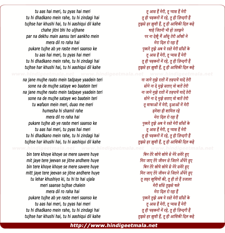 lyrics of song Tu Aas Hai Meri