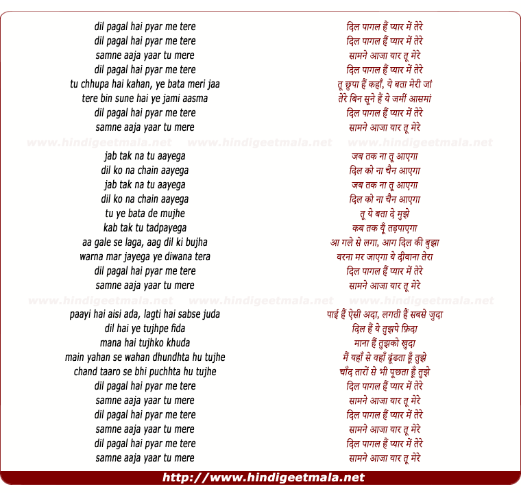 lyrics of song Dil Paagal Hai