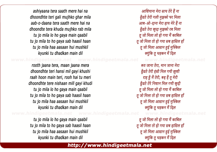 lyrics of song Tu Jo Mila (Mtv)